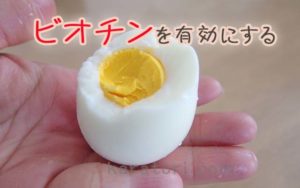 髪を健康にする卵の食べ方